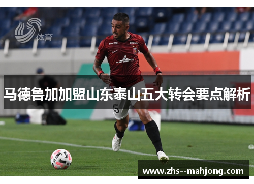 马德鲁加加盟山东泰山五大转会要点解析